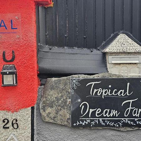 ホテル Tropical Dream Farm ヴォウゼーラ エクステリア 写真